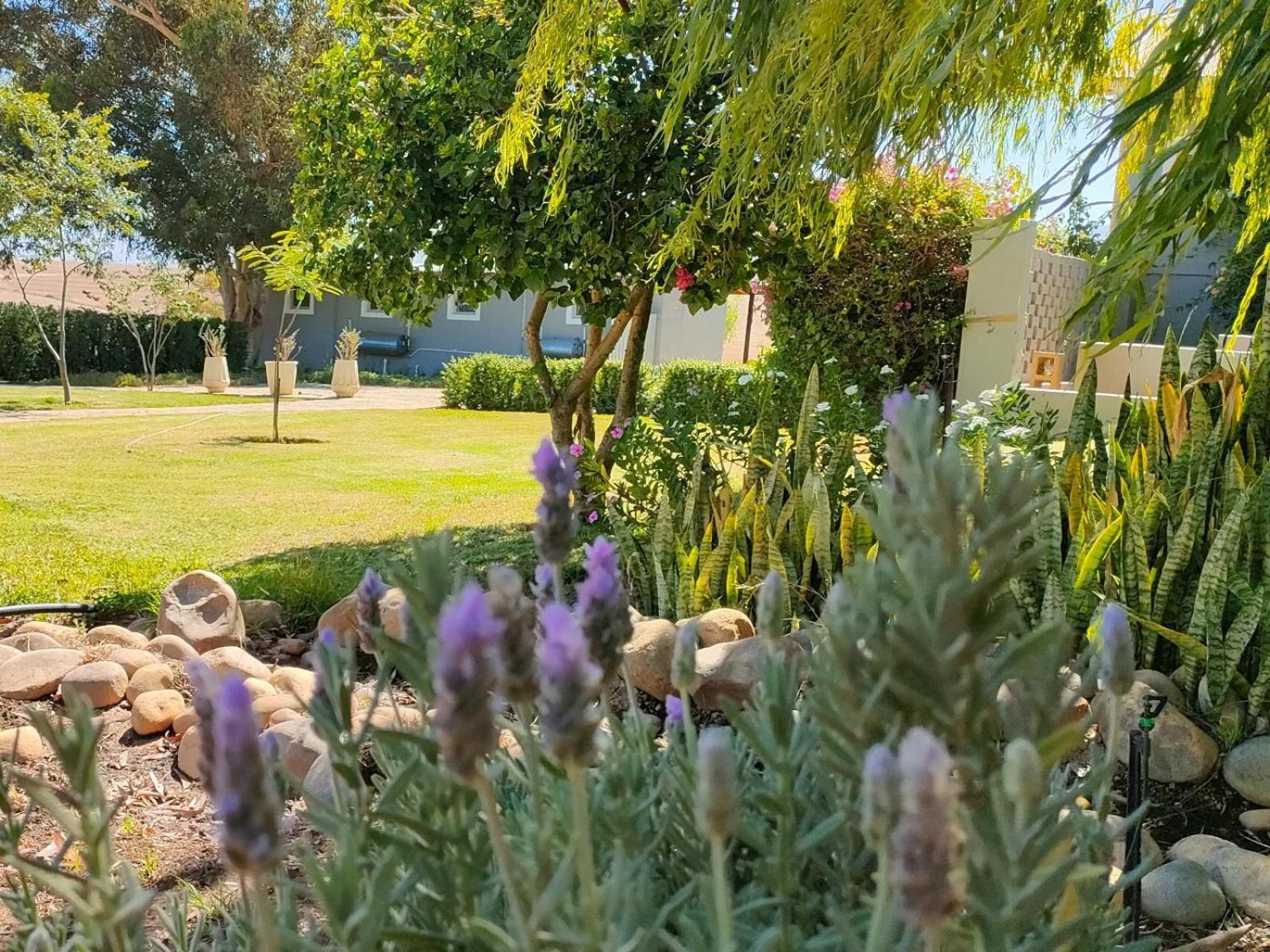 Holiday home Excelsior Airstream Glamping