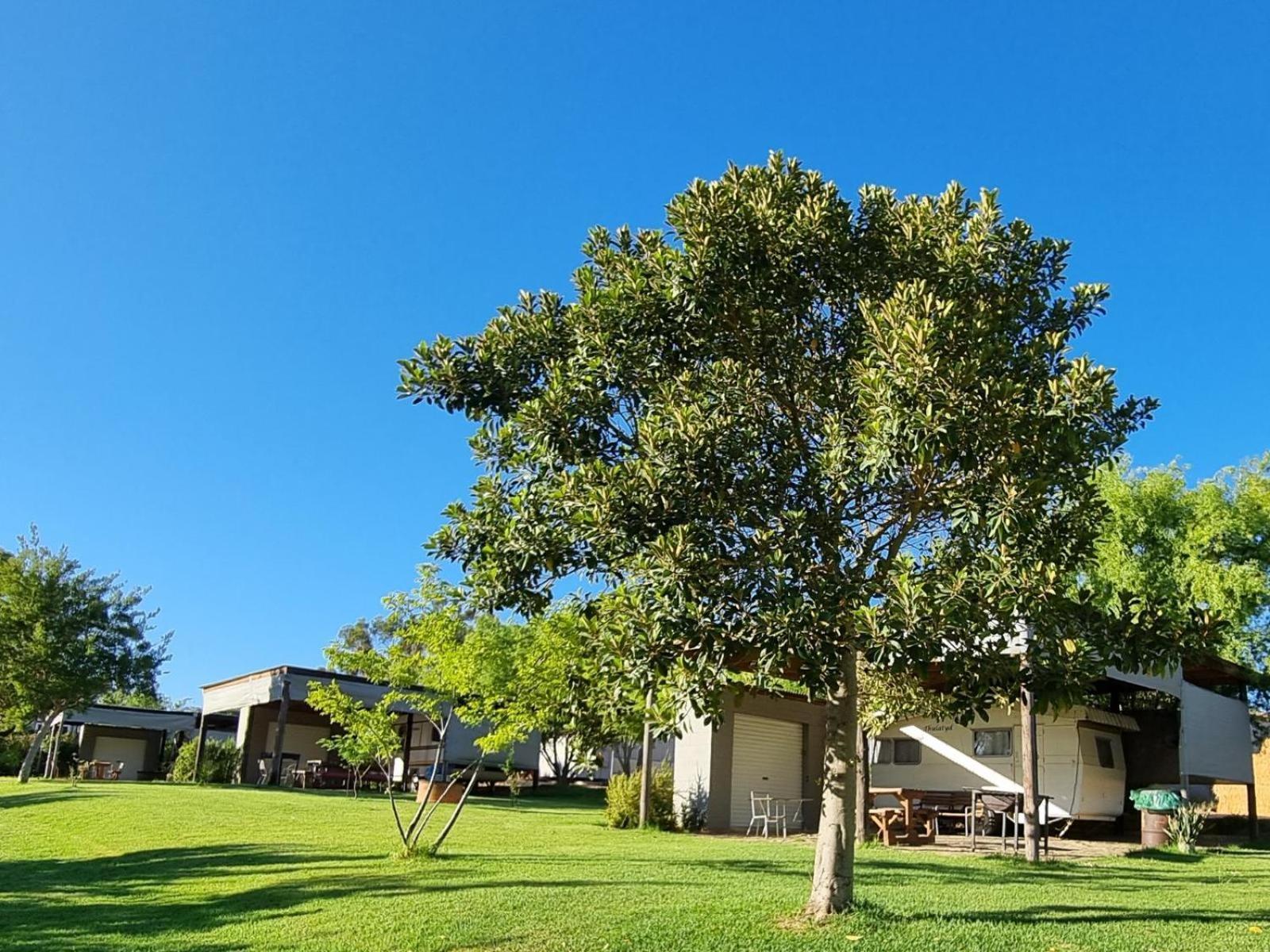 Holiday home Excelsior Airstream Glamping Porterville